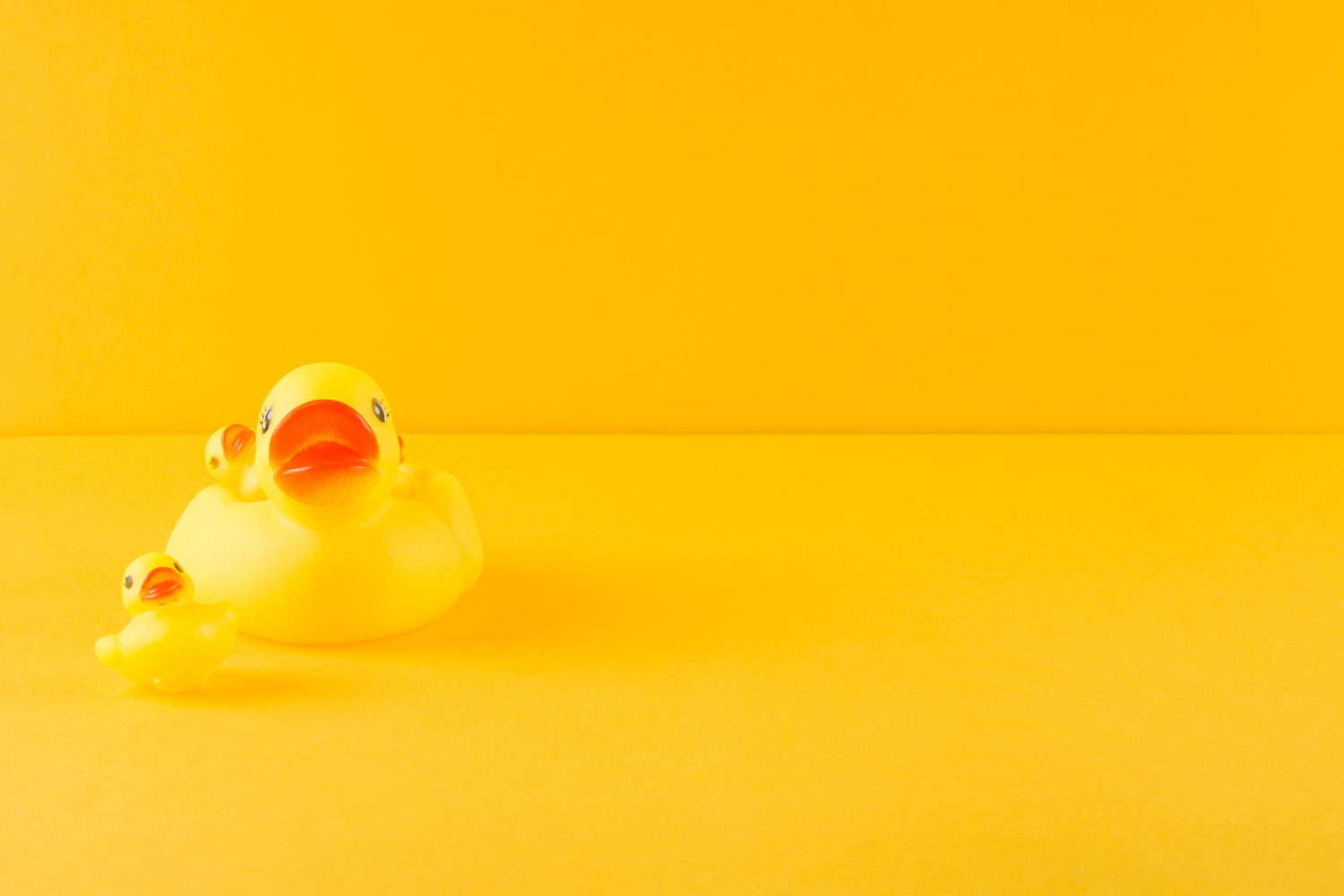 Productos para tu Baño